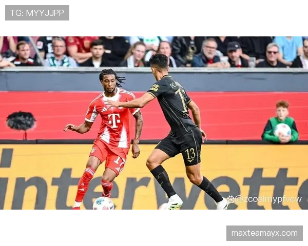 德甲实力派新援